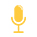 microphone icon