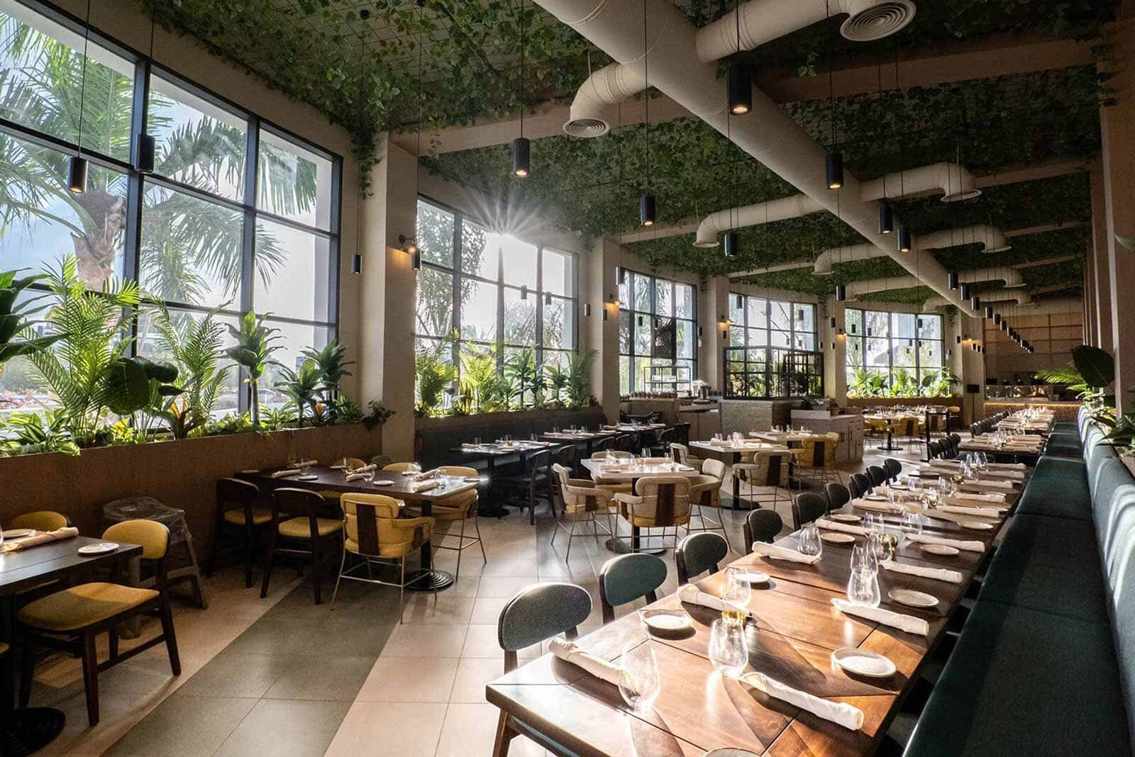 Restaurants Hard Rock Punta Cana