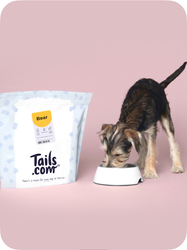 A small dog eating from a bowl next to a package of Tail’s dog food