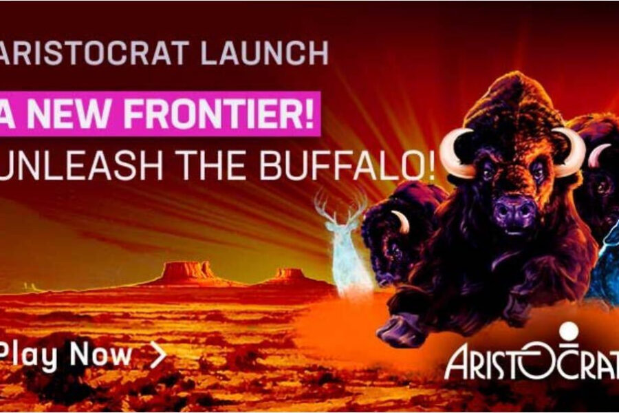 aristocrat buffalo